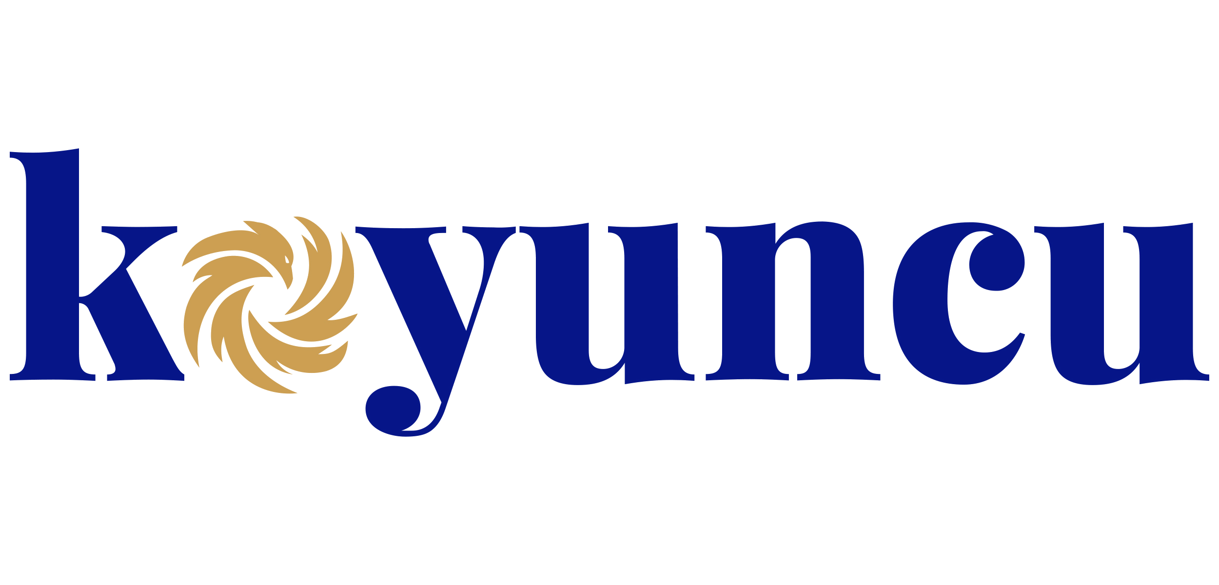 Koyuncu Grup